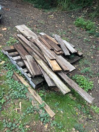 Redwood scraps 1