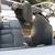Skeeter SL-176 Fish and Ski with trailer NO MOTOR title in hand 16 thumbnail