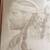 A Young Willie Nelson 5 thumbnail