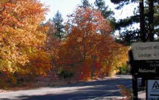 $100 And Up. Cabins, Motels, Forest, Mountains, Views, Hiking (Mount Laguna, CA 91948)63998602572546122