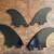 FCS quad surfboard fins - brand new 2 thumbnail