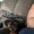 6 month old yorkie 1 thumbnail