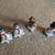 4 Piece Holiday Stocking Holders Lot - Will Separate 3 thumbnail