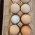 Hens 9 thumbnail