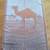 Vintage  ( ON BOAT ) BEACH TOWELS - JAWS - CAMEL - TWA 3 thumbnail