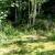 Tiny House for Rent, utilities & wifi included, on beautiful property 19 thumbnail