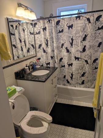 $1,325 / 2br - 1200ft2 - Roommate wanted female (Belmont)63699256352257121