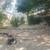 Moving IN/OUT Need Yard Clean Up ? Sprinklers, Drips repair 21 thumbnail