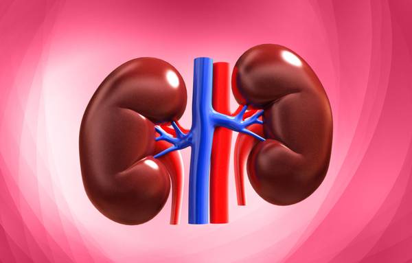 Kidney Transplant Cost in India – A Complete Guide 1