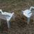 2 CHILD CHAIRS Lawn Yard Furniture Patio Children Seat White Plastic 7 thumbnail