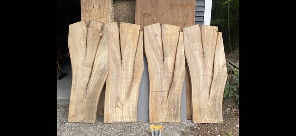 Live edge Elm 1