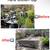 415-756-3437☎️YARD CLEAN-UP😍JUNK HAULING😍DEMOLITION😍TREE REMOVAL 24 thumbnail