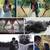 Photographer - Local - Graduation - Family - Wedding 5 thumbnail