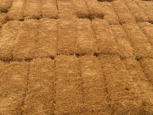 Straw bales - $863471175779329120