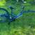 NOVARA AFTERBURNER TRAIL A BIKE LIKE NEW 1 thumbnail