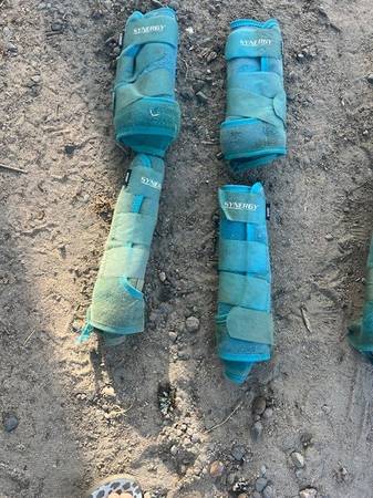 Miscellaneous tack 1