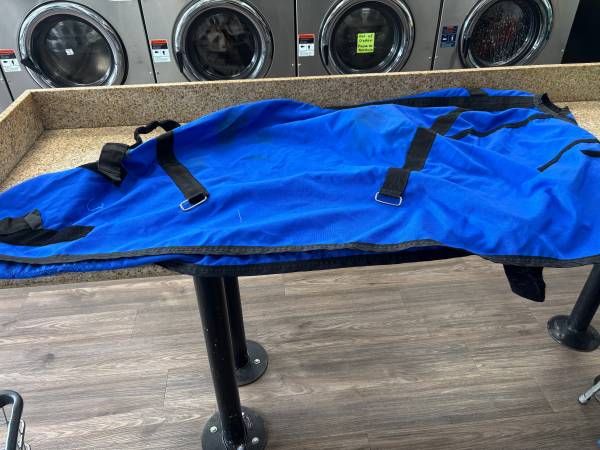 Blue Horse Blanket 1