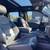 2022 Ford F150 SuperCrew Cab Raptor 37 Package - Leveled  Methods 3 thumbnail
