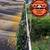 Gutter cleaning, Installations, repairs, (includes Free roof cleaning) 11 thumbnail