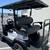 BETTER THAN EVOLUTION AND SAME PRICE! Denago Golf Carts Lithium Powered 5 thumbnail