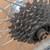 Campagnolo Record Wheelset 700c Moscow Moskva 80 Rims 4 thumbnail