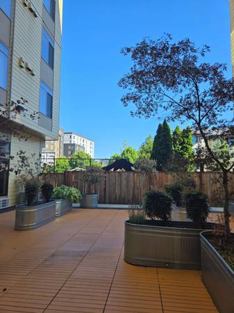 $995 Studios in Lake City Under $1,000? Yes. Really! (Lake City)63786613962371120