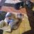 Adorable Kittens and Mom 3 thumbnail