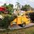 ***TREE, BRANCH, AND STUMP REMOVAL***Certified Arborist 6 thumbnail