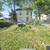 3 BedRms 1 BathRm Yard Scribner Ave 1st Floor  Staten Island NY 10301 24 thumbnail