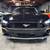 2018 Ford Mustang EcoBoost Coupe 2D 17 thumbnail