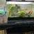 Two Goldfish with 10 gallon  and 3 gallon tank + supplies 1 thumbnail