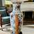 Beautiful Asian 3-Way White Porcelain and Floral lamp 36.5” 4 thumbnail