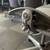 *TITANIUM COLORWAY* Herman Miller Aeron Classic 5 thumbnail