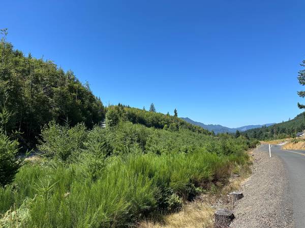 $290,000 9.58 Acres Vacant Land in Amboy (Amboy)64039057310721122