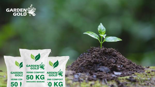 High-Quality 100% Organic Vermicompost in Gujarat 1