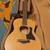 Taylor GS Mini-e, Expression system LNIB 10 thumbnail