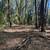 Fixer Upper Home on 7.2 Acres, Town Center,  2.5 Bath, Level Land 20 thumbnail