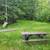 Acreage Parcel on Pardee Lake! 2 thumbnail