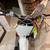 2021 Thumpstar MX-85 MX85 MX 85 2 Stroke Dirt Bike Will Trade 10 thumbnail