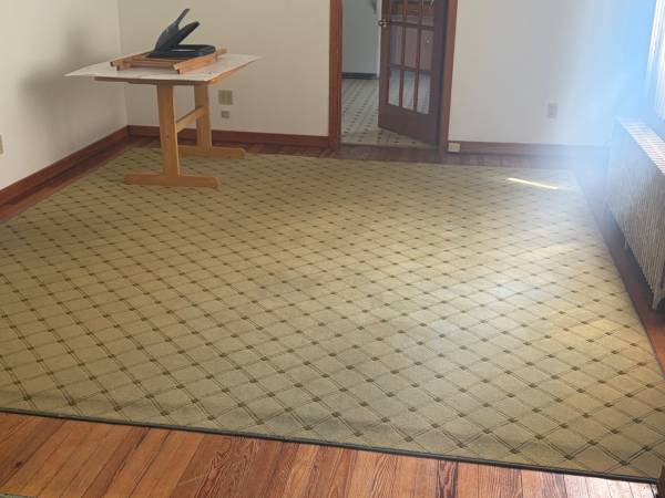 Area rug 1