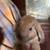 Bunnies 1 thumbnail