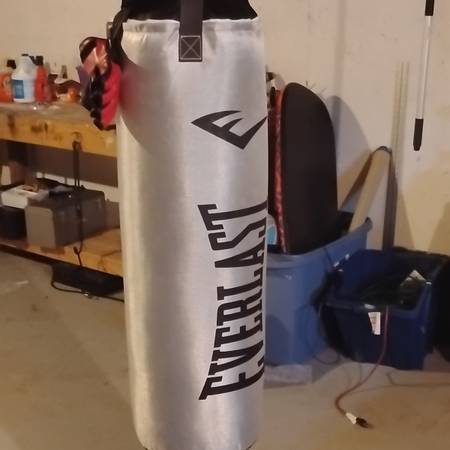 Everlast Heavybag 1