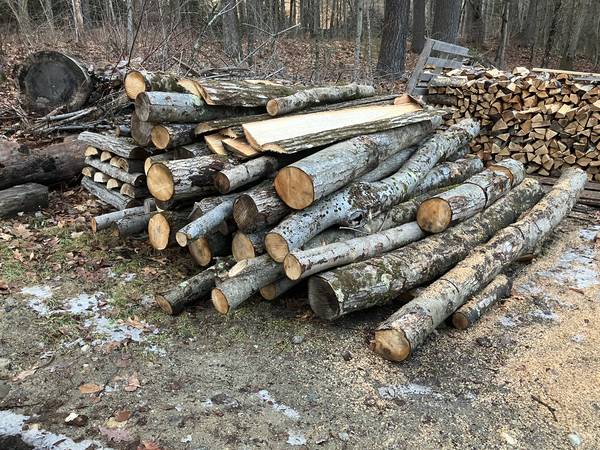 Trailer Load 9 foot Round Firewood 1