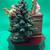 Spode Christmas Tree Music Box 4 thumbnail