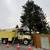 Tree Service & Storm Damage Cleanup 1 thumbnail
