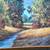 Large Signed 53”w x 42” h Wondering Creek Framed Landscape Painting by Vicki 2 thumbnail