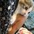 Beautiful kittens 6 thumbnail