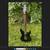 Schecter Hellraiser 2007 3 thumbnail