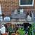 Miscellaneous garden items 1st $200 Takes it all. 8 thumbnail