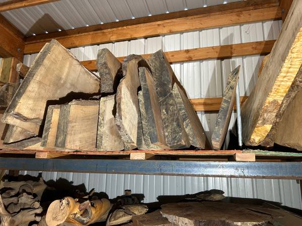 Wood: Walnut Slabs: Kiln Dried